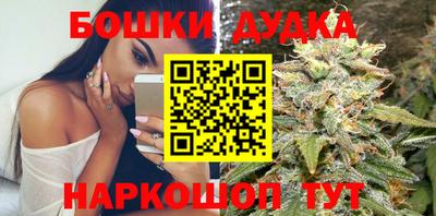 СК Севастополь