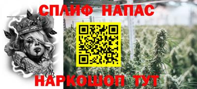 СК Севастополь