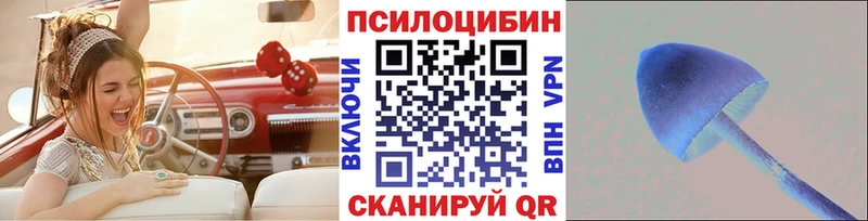Псилоцибиновые грибы прущие грибы  OMG tor  Прохладный  купить наркотики сайты 