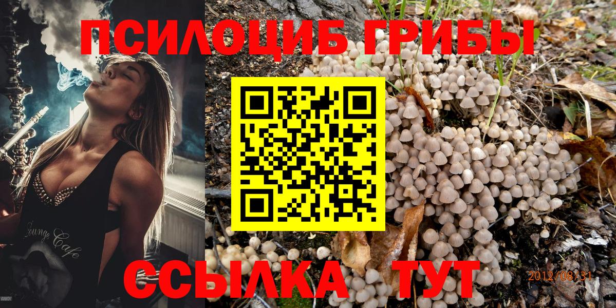 Прохладный  цены наркотик  Псилоцибиновые грибы мицелий  Вход с VPN  Галлюциногенные грибы Psilocybe 